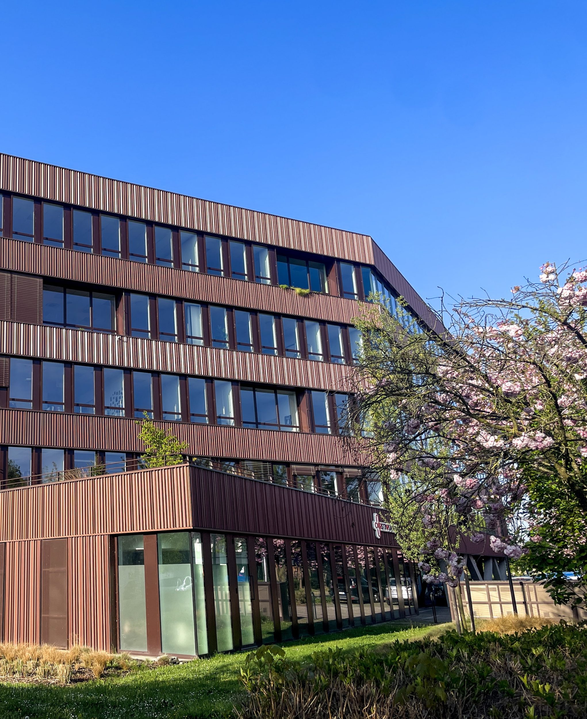 Immeuble_Commercial_RDG